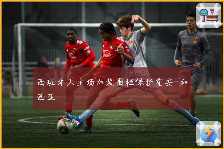 西班牙人主场加装围栏保护霍安-加西亚
