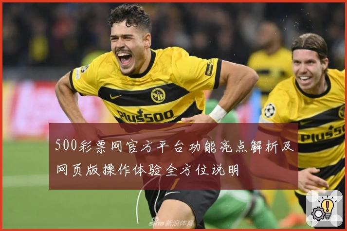 500彩票网官方平台功能亮点解析及网页版操作体验全方位说明